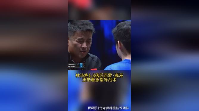 法国乒乓球队绝杀比利时乒乓球队,王皓完成帽子戏法的简单介绍 法国乒乓球队绝杀比利时乒乓球队,王皓完成帽子戏法的简单介绍