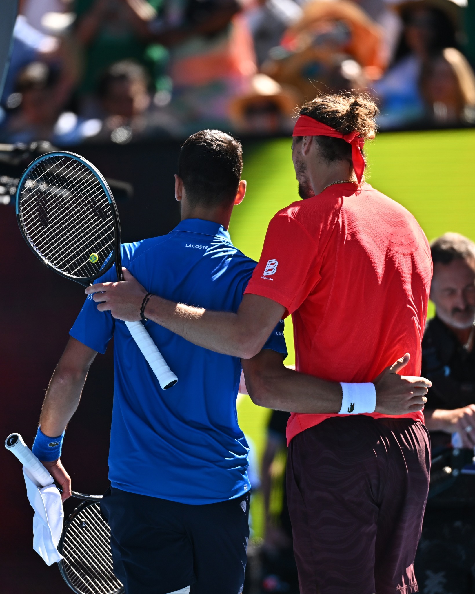 澳网横扫拉沃尔杯,德约科维奇惊艳四座 澳网横扫拉沃尔杯,德约科维奇惊艳四座