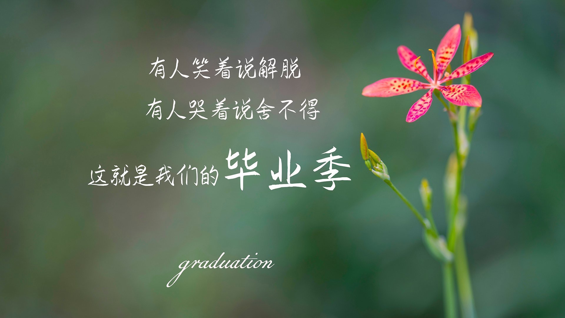 精密仪器摧毁血肉之躯，杜兰特完美逻辑下太阳的无情制霸