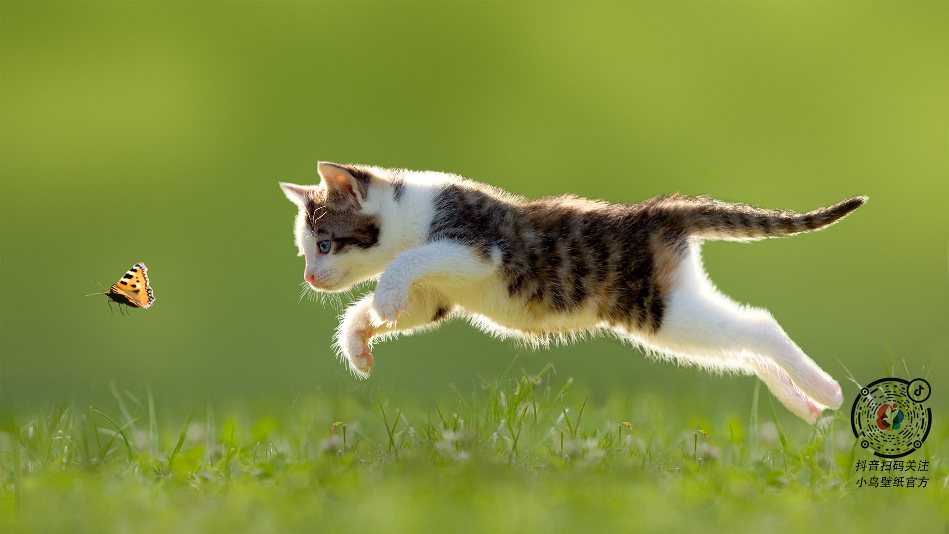 草原猎手与三晋雄鹰,马克西如何用一己之火点燃征服之夜?