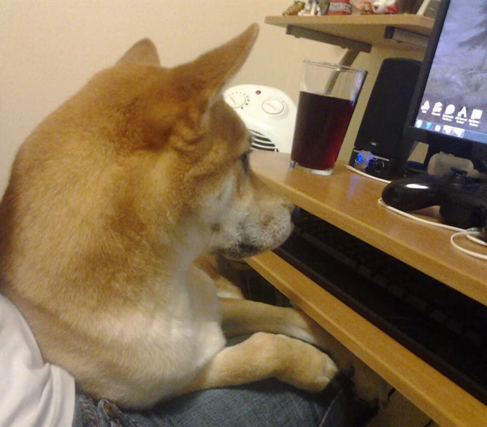 当克利夫兰骑士空降杭州体育馆,一场魔幻现实主义的抢七决战