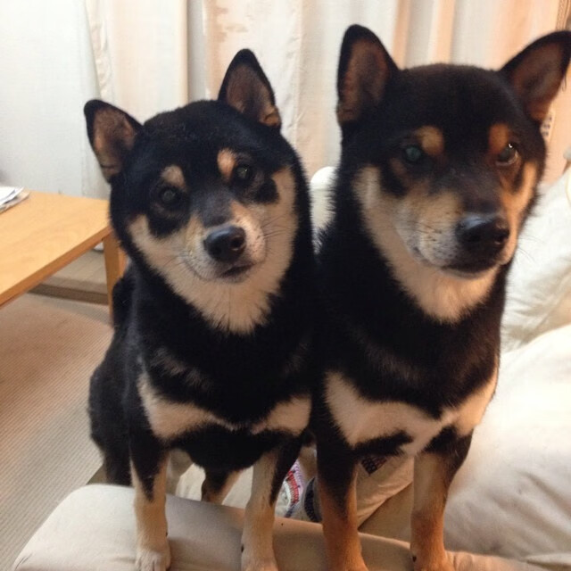 暗夜狂飙，当赛道红线遇见休斯顿的红色狂想