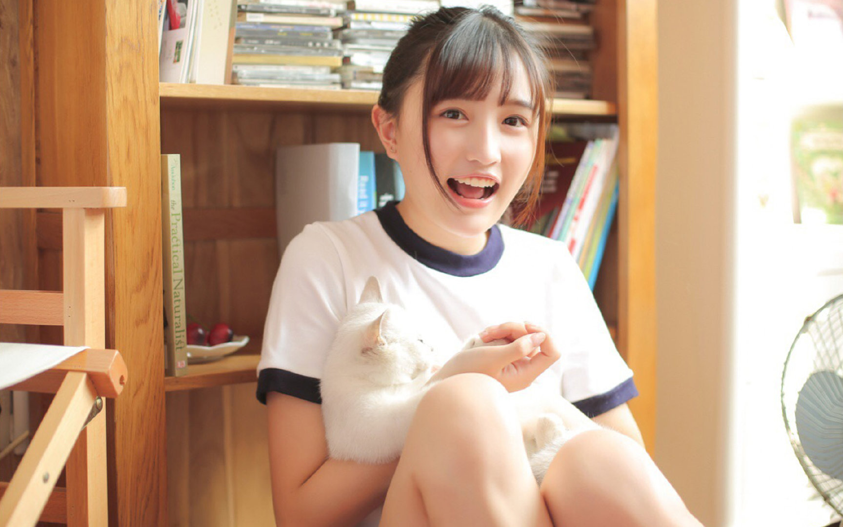 当深圳的冷兵器冲垮达拉斯的防线,福克斯的手术刀为何在舞台中央越磨越利?