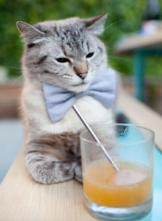 熔炉与闪电，墨西哥的战术牢笼，与那道名为基米希的德国寒芒