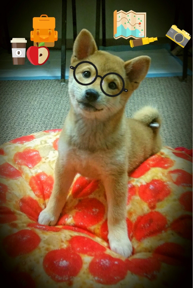 法老之矛刺穿猎鹰盾墙,巴尔韦德成为颠覆亚特兰大的关键先生