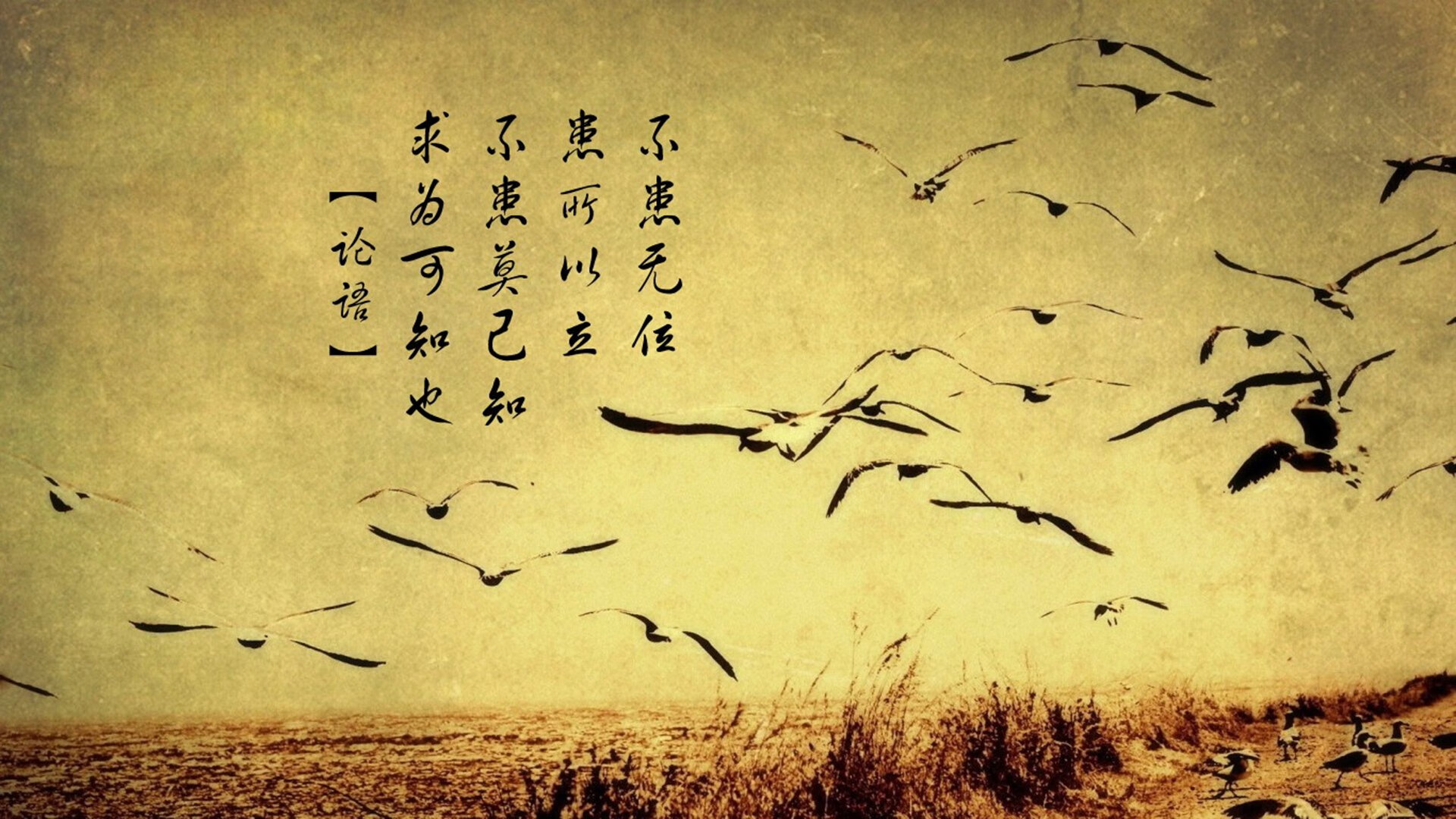 足球之夜的双重震撼，法国狂胜智利，伊萨克欧冠半决赛封神