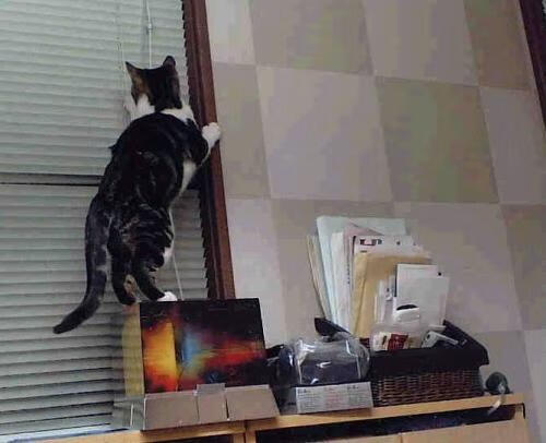 东决风云，当尤文图斯的战术棋盘，遇上巴拉圭的钢铁意志