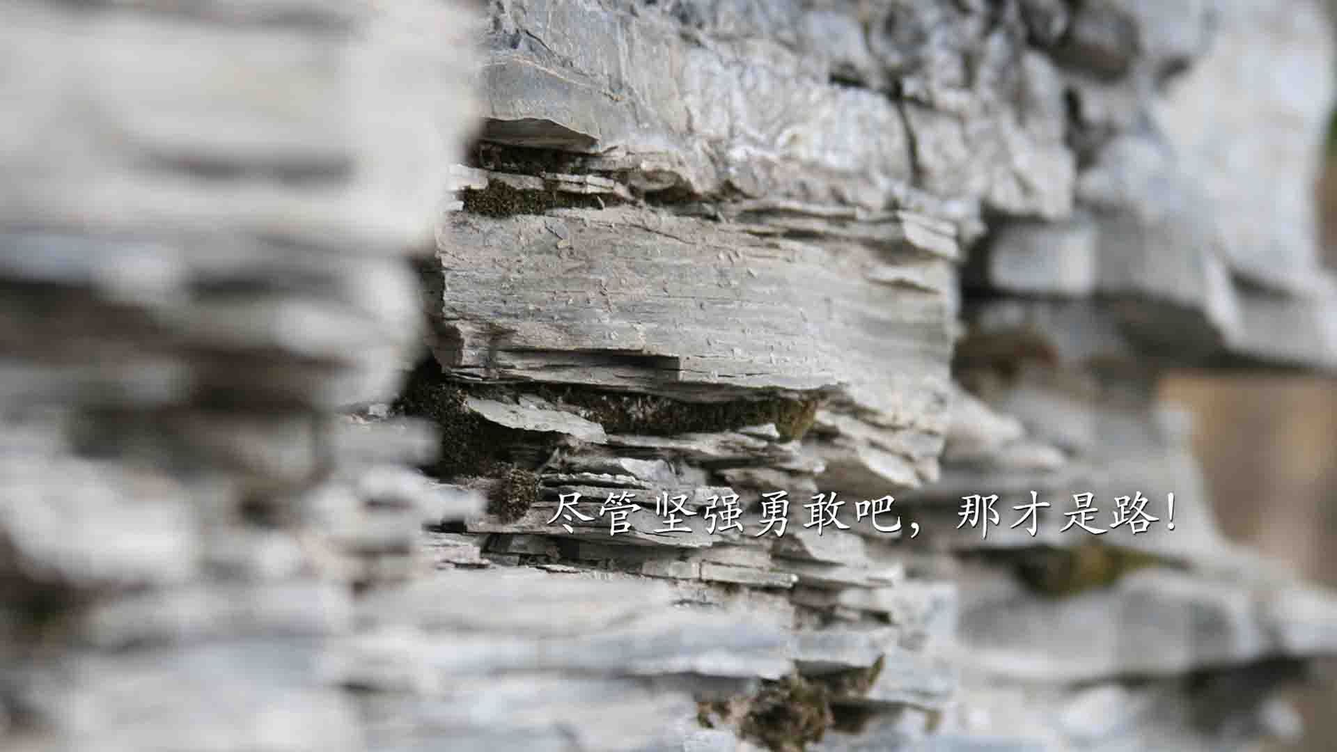 西亚卡姆冠军级表现激发灵感,虚拟赛场浙江队以数据模型击溃雄鹿