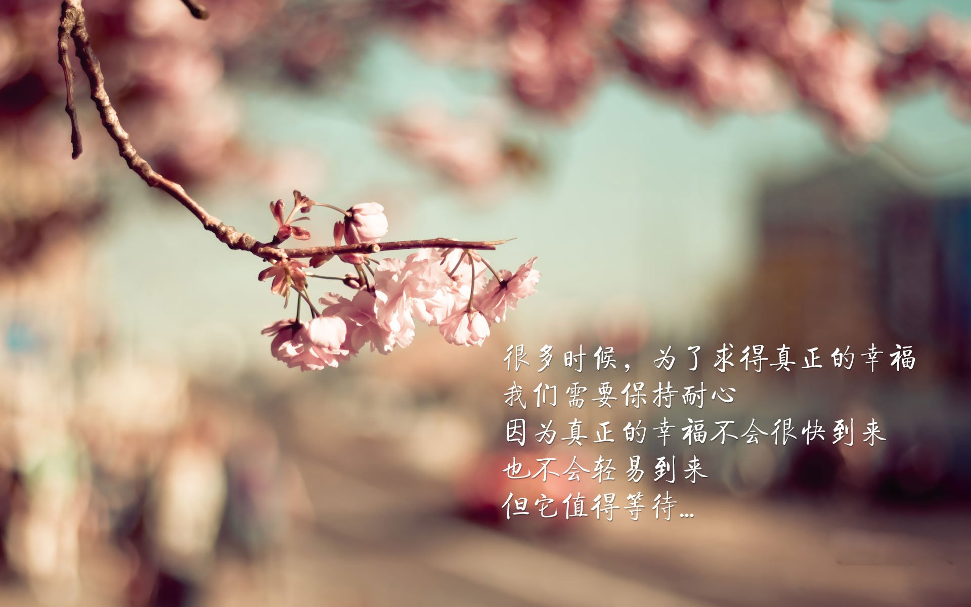 绿茵博弈与赛道超车，当蒂亚戈的节奏艺术遭遇哥伦比亚式的强力终结